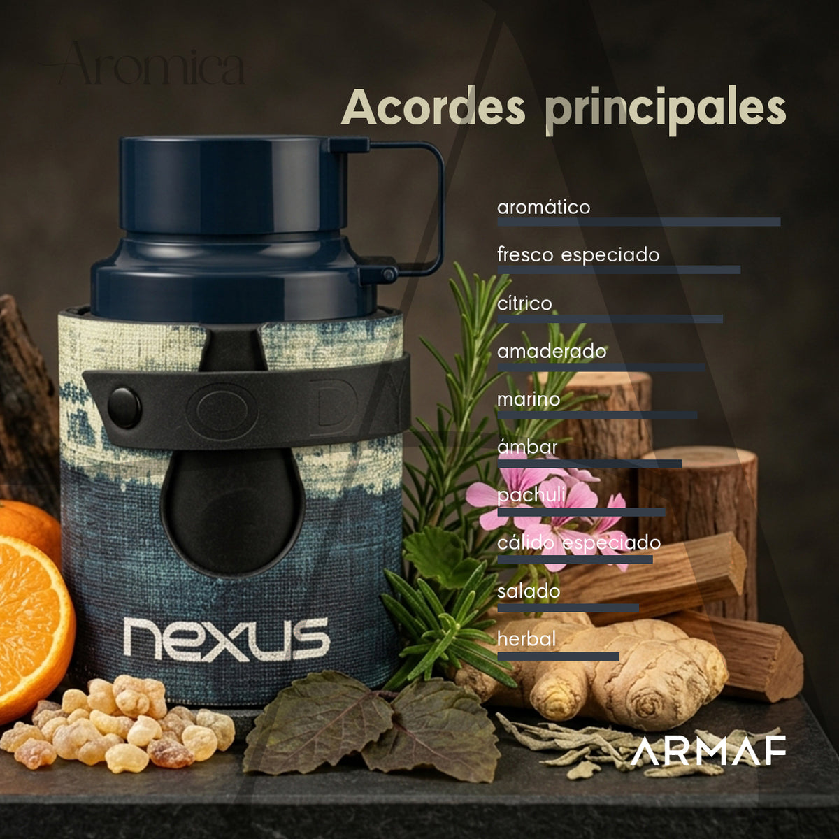Perfume Odyssey Nexus Edition Aqva – Eau de Parfum | 100ml